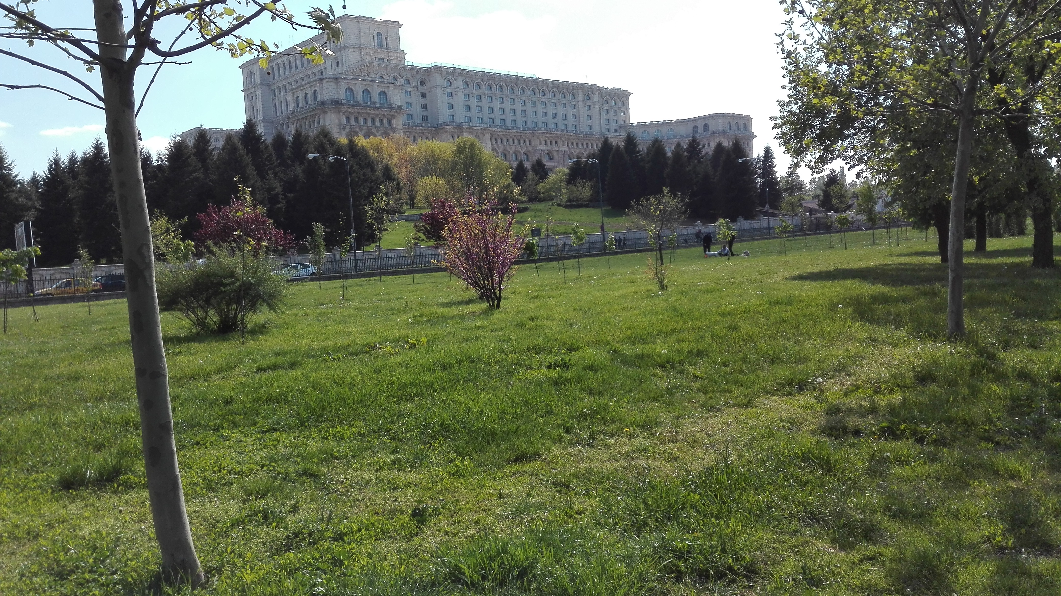 Evening arrival after OTP